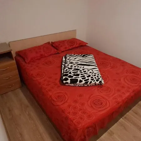Kiki * Mangalia